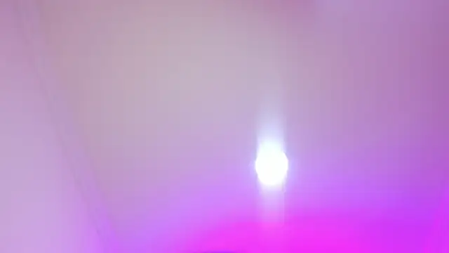 nalalye cruzz  online show from April 5, 3:04 am