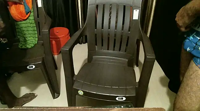 indian2 online show from December 21, 4:46 pm