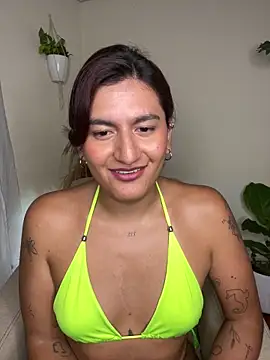 Snapshot of ari_artis chatting on February 20, 2:07 am ari artis online show from February 20, 2:07 am