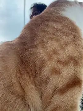 GigiiStone online show from March 16, 10:20 pm