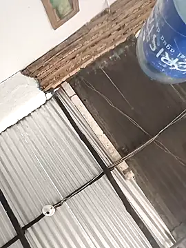 Yelly online show from February 4, 3:40 pm