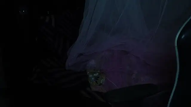 -AyeshaSinghania- online show from November 18, 6:23 pm