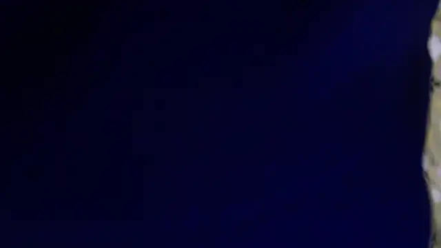 -AyeshaSinghania- online show from February 13, 1:45 am