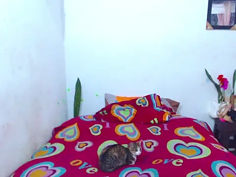 The wickles 4443 online show from February 14, 4:09 pm