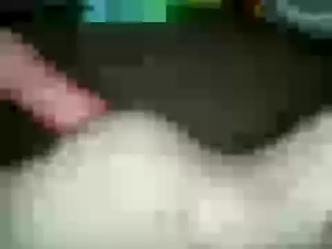 xxxlecram online show from January 15, 2:56 pm