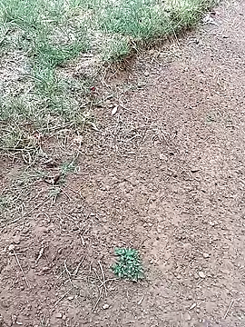 Vuyokaki online show from February 3, 3:06 pm