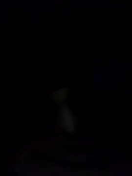 Bigcockmexi13 online show from March 21, 12:40 am