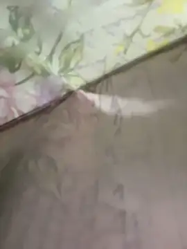 my-kitty online show from June 11, 2:53 am