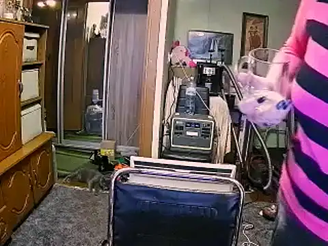 LOLA8888 online show from December 4, 12:03 pm