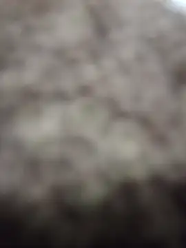 Snapshot of Wedgie_boy chatting on March 1, 12:12 am Wedgie boy online show from March 1, 12:12 am