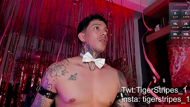 TigerStripes1  online show from February 15, 12:15 am