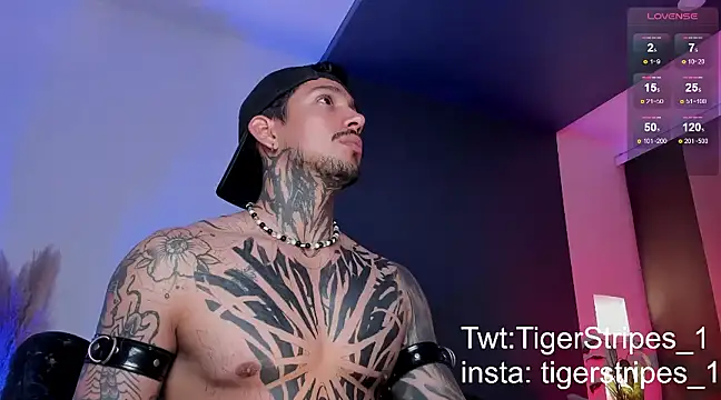 TigerStripes1  online show from March 16, 12:56 am