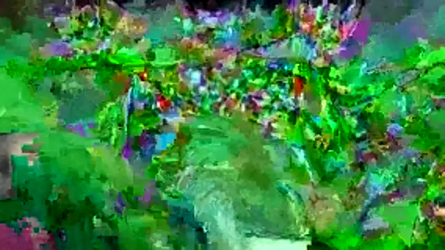 bigdon5169 online show from May 1, 2:54 pm