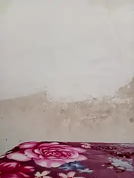 Snapshot of 09punjabi chatting on December 19, 11:07 am 09punjabi online show from December 19, 11:07 am