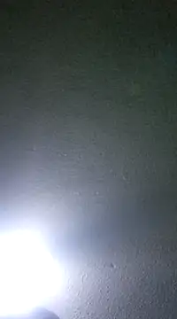 Elcogetuquieres online show from January 8, 5:16 am