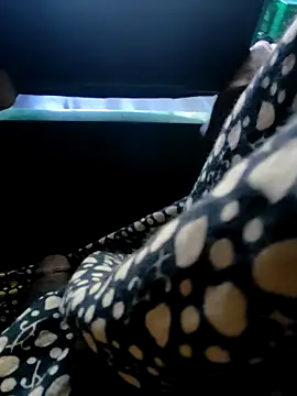 Kolkata   Boy online show from December 7, 2:20 am